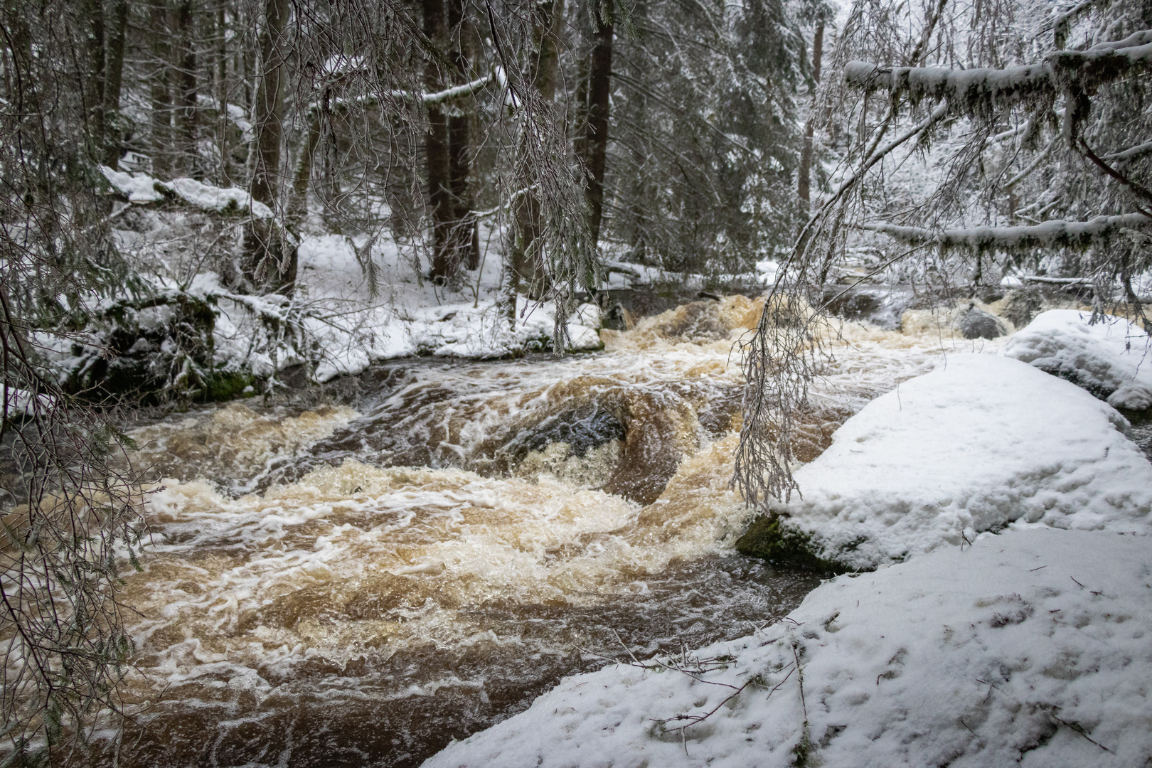 Die Eger im Thuswald