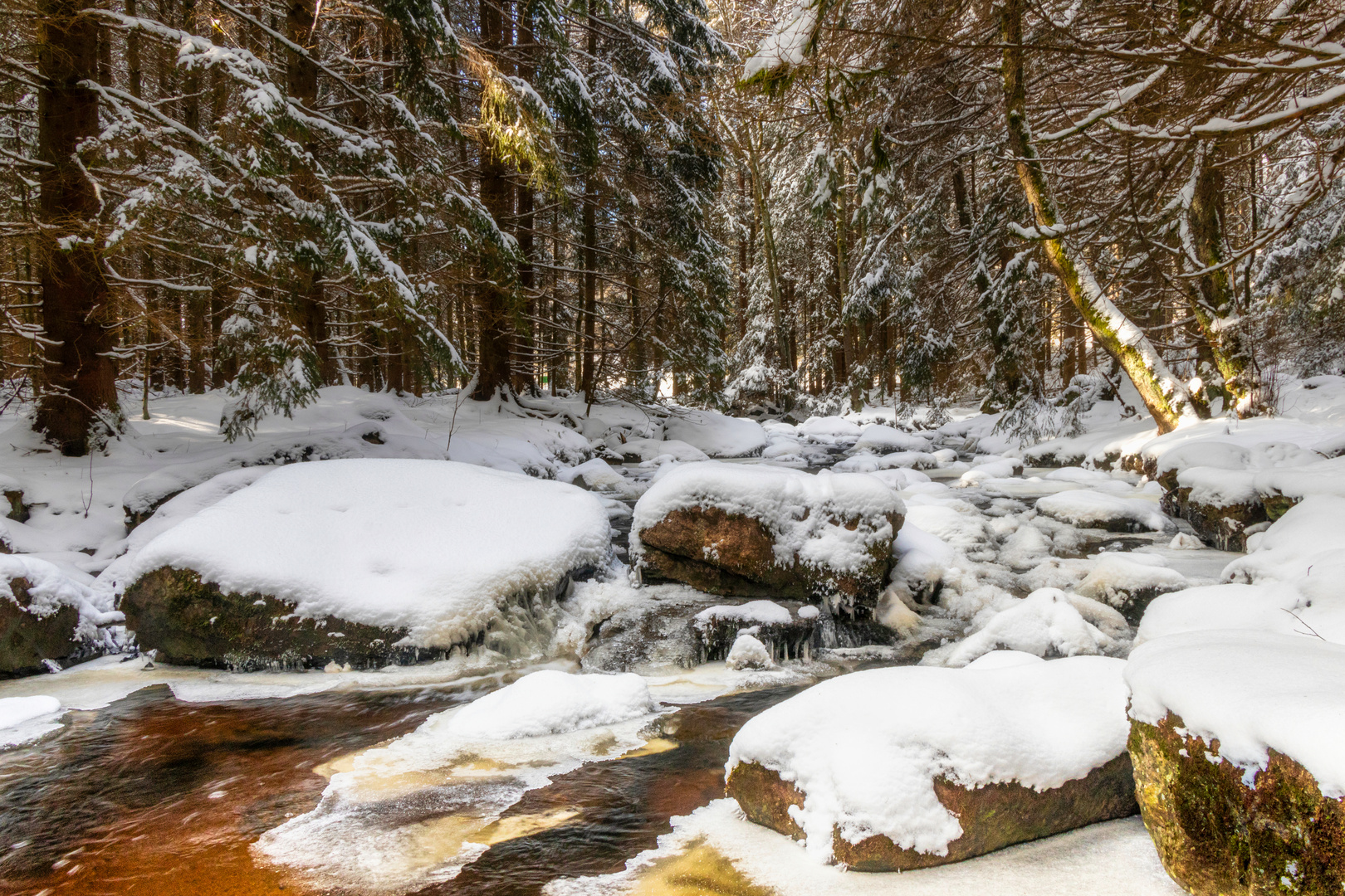 Die Eger im Thuswald