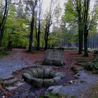 Die Egerquelle im Fichtelgebirge