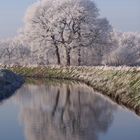 Die Ehe in Aurich / Ostfriesland - Ausschnitt