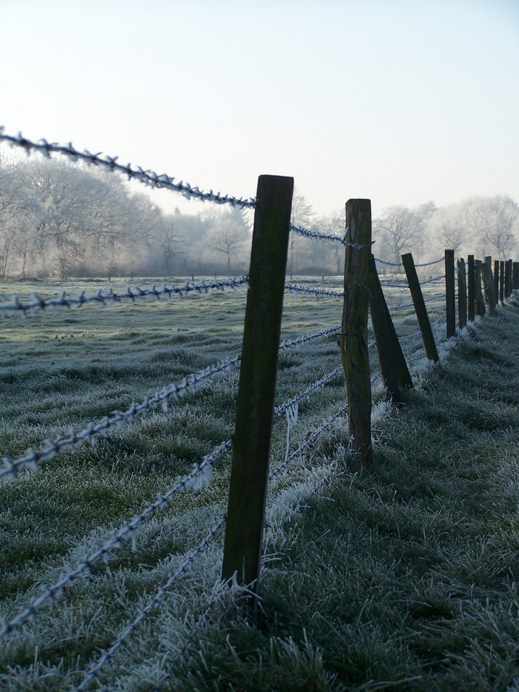 Die Ehe in Aurich / Ostfriesland - Stacheldraht nr 2