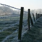 Die Ehe in Aurich / Ostfriesland - Stacheldraht nr 2