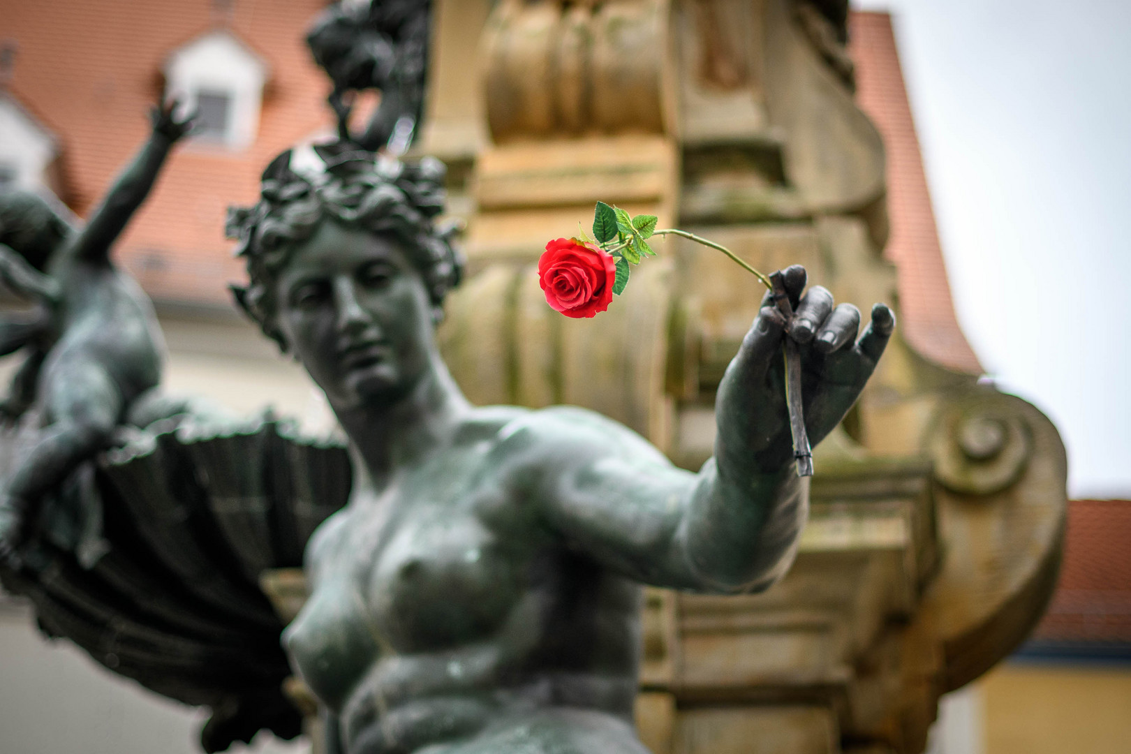 Die eherne Flora