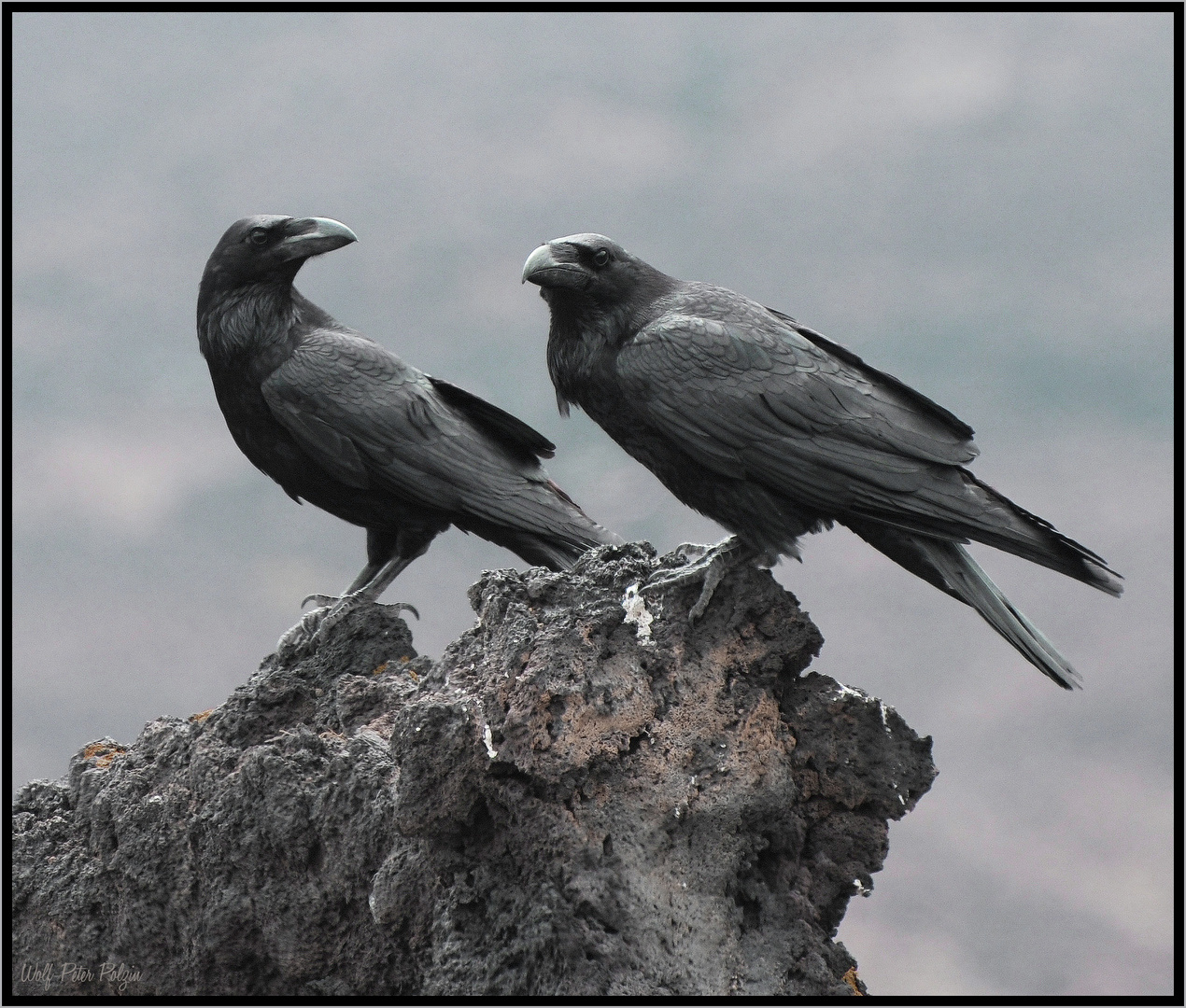 Die Ehernen - Kolkraben-Paar, El Hierro