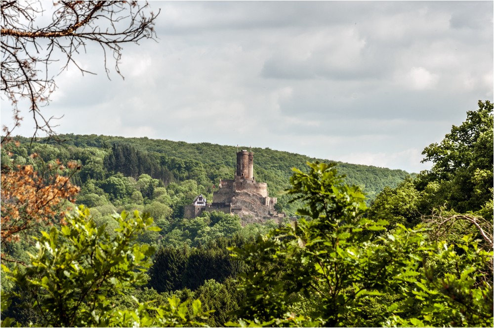 Die Ehrenburg ....