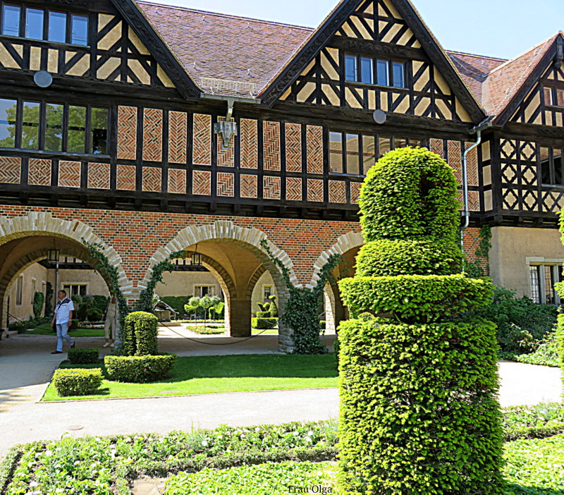 Die Eibe vor dem Schloss Cecilienhof