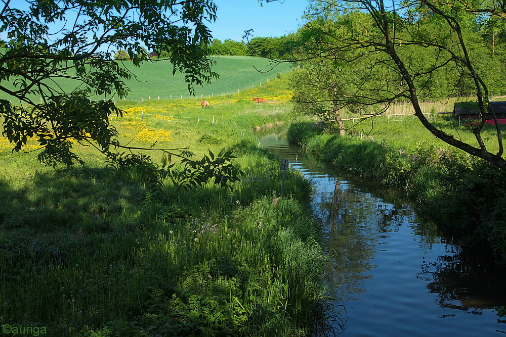 Die Eider - Schleswig-Holsteins größter Fluss!