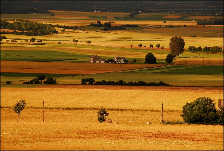 Die Eifel !