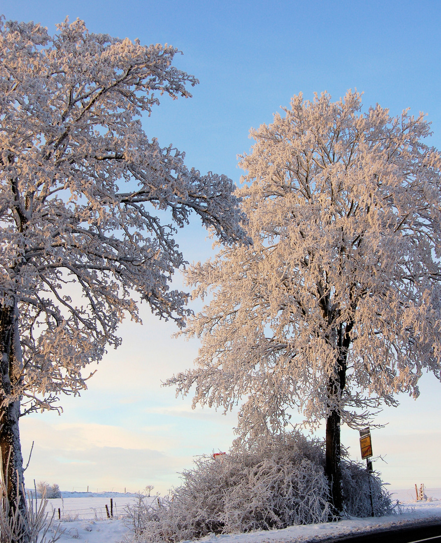 Die Eifel bei - 14 Grad