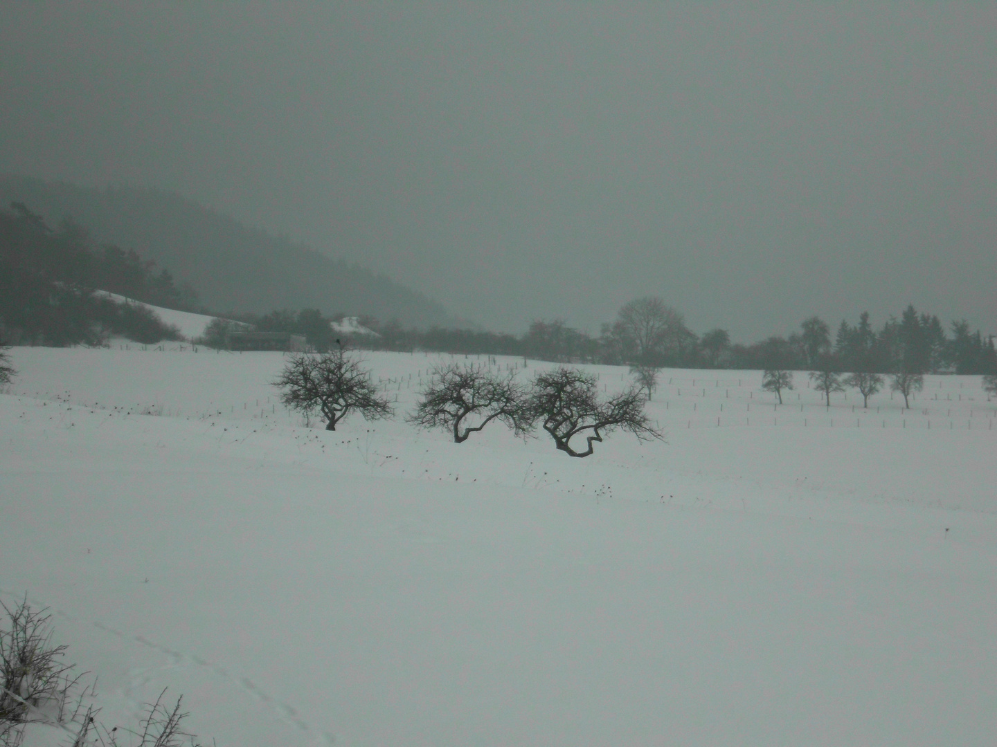 Die Eifel bei Biesdorf