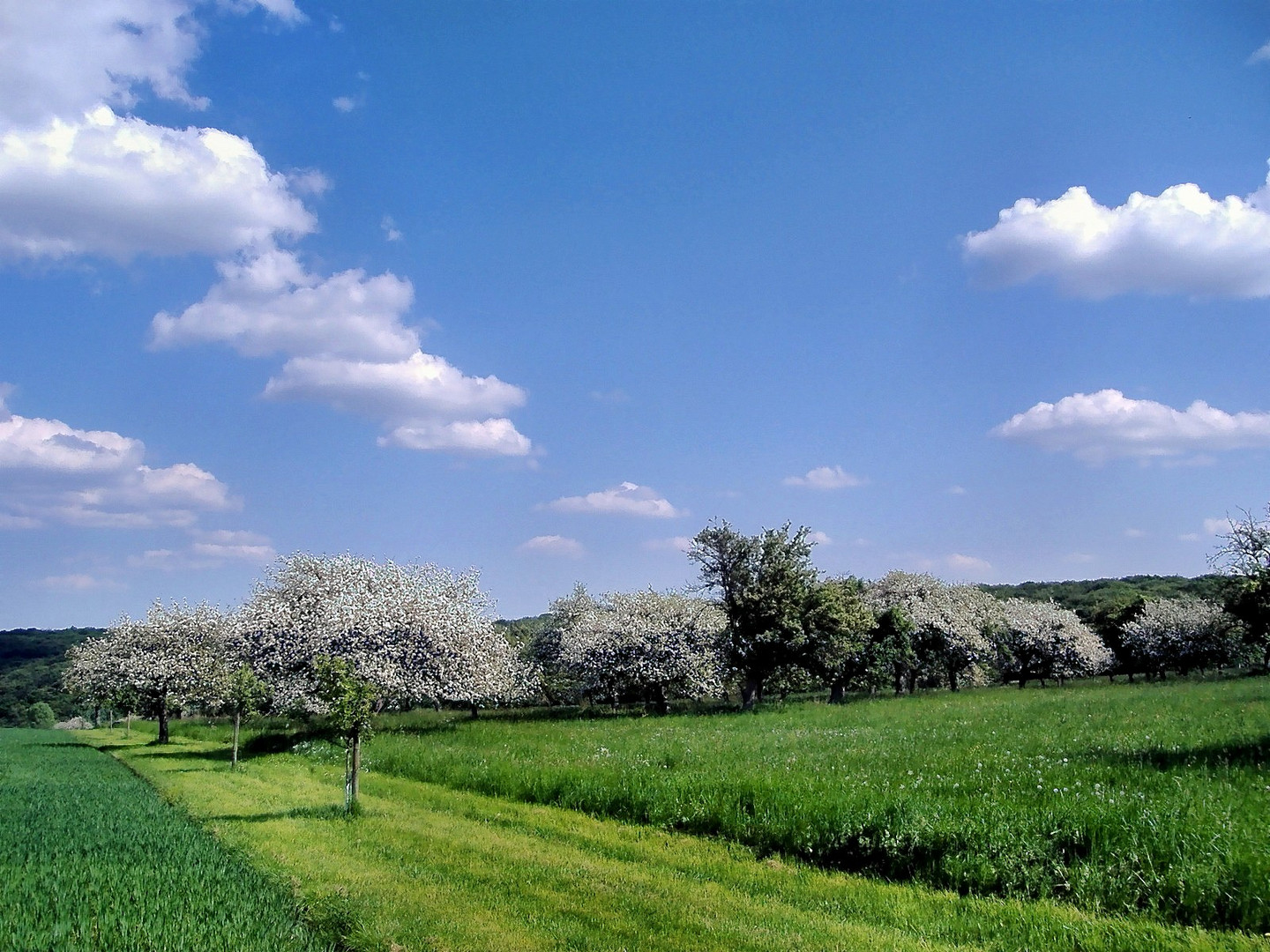 Die Eifel bei Waldorf