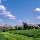 Die Eifel bei Waldorf