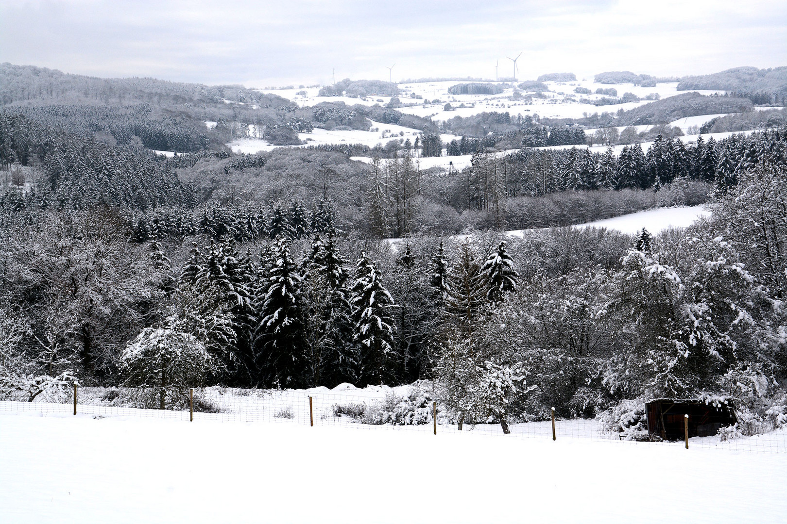 Die Eifel bietet ihr vielfältiges Landschaftsbild auch im Winter