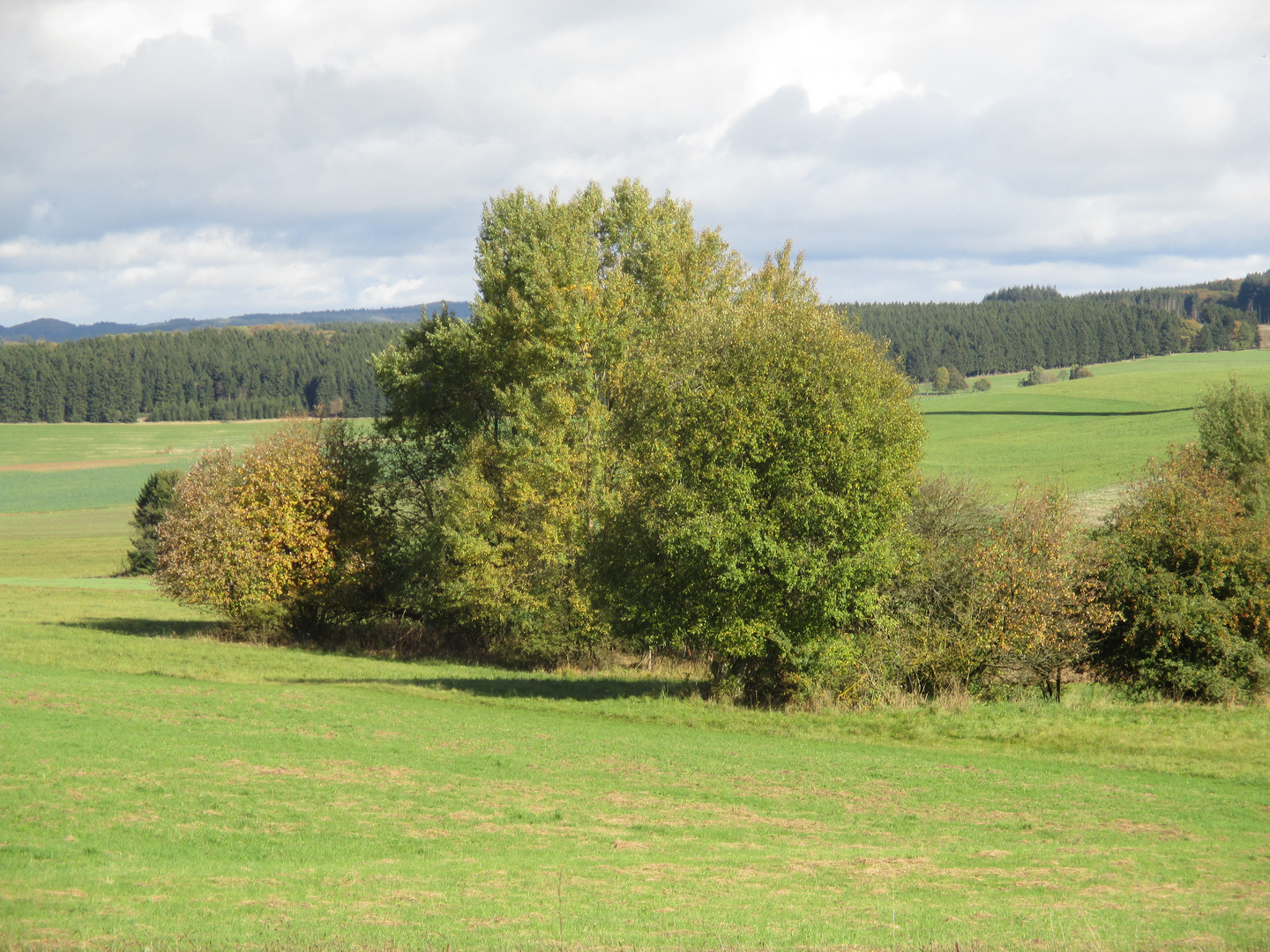 Die Eifel im Herbst