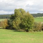 Die Eifel im Herbst