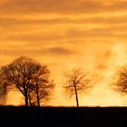 Die Eifel im Saharastaub - 2