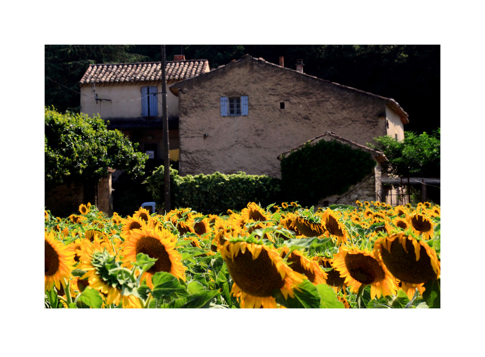 Die (ein paar der) "Farben der Provence"