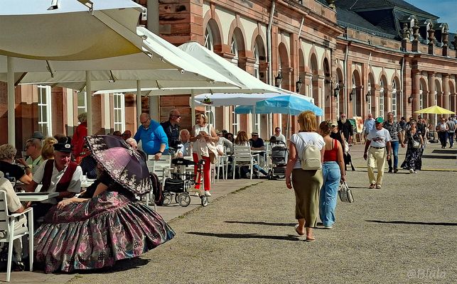  Die einen so, die andern anders