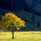 die einen stehen im Licht, die anderen im Schatten