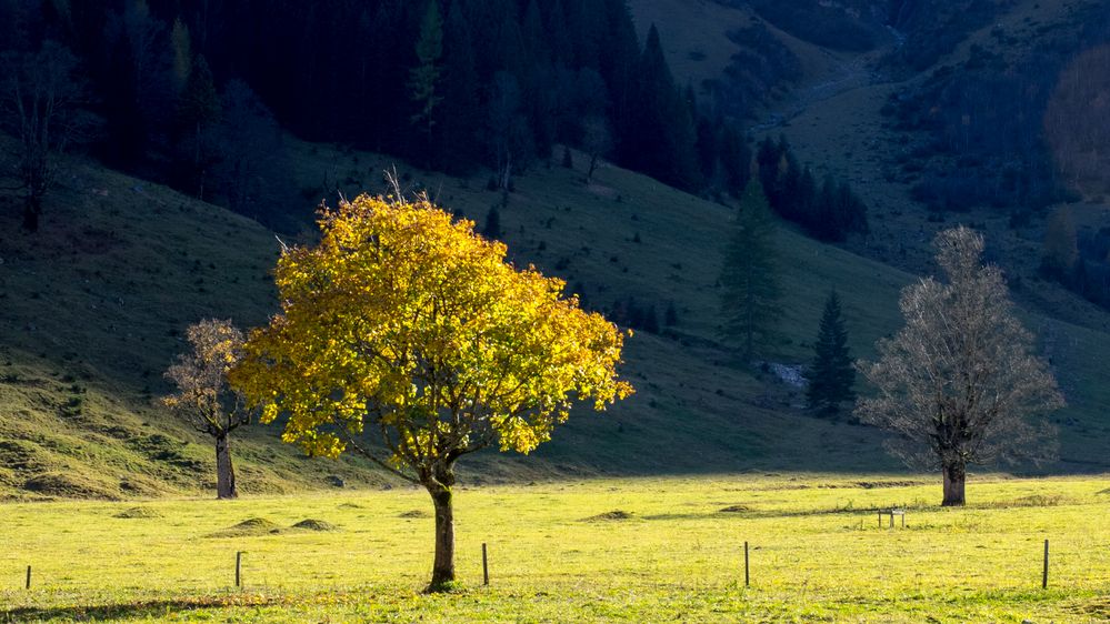 die einen stehen im Licht, die anderen im Schatten