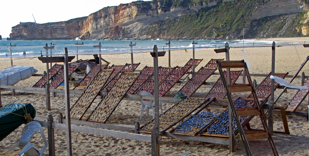 die einen trocknen Wäsche die Portugiesen Fisch