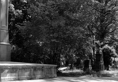 Die eingestempelte Ruhe beim Betrachten