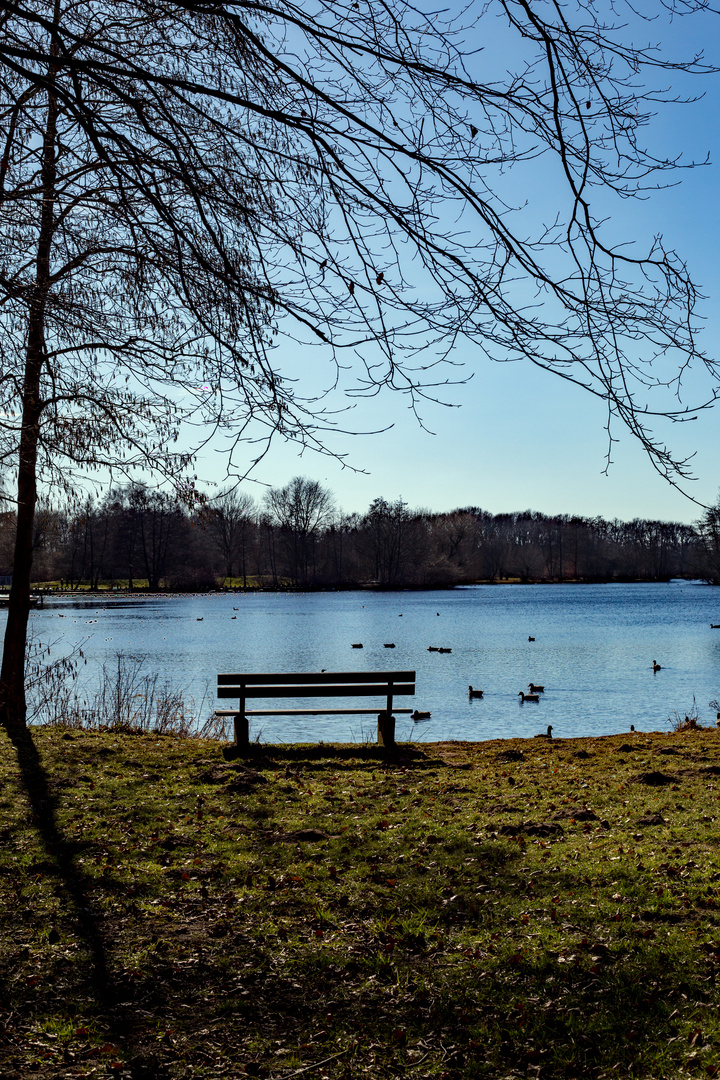 Die Einsame Bank Am See Foto Bild Jahreszeiten Winter Kritik Am Bild Bilder Auf Fotocommunity