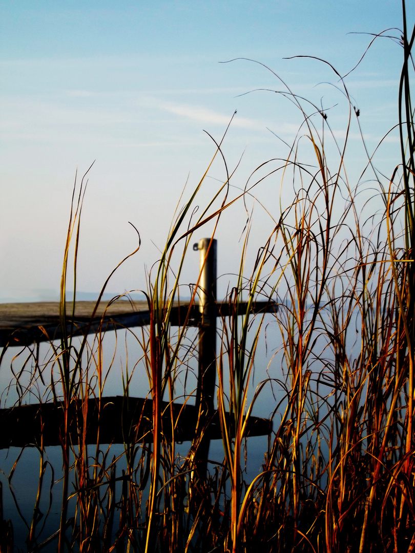 Die einsame Brücke