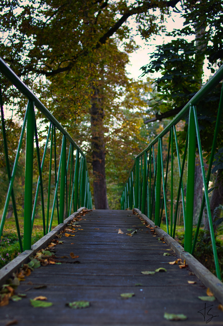 Die einsame Brücke