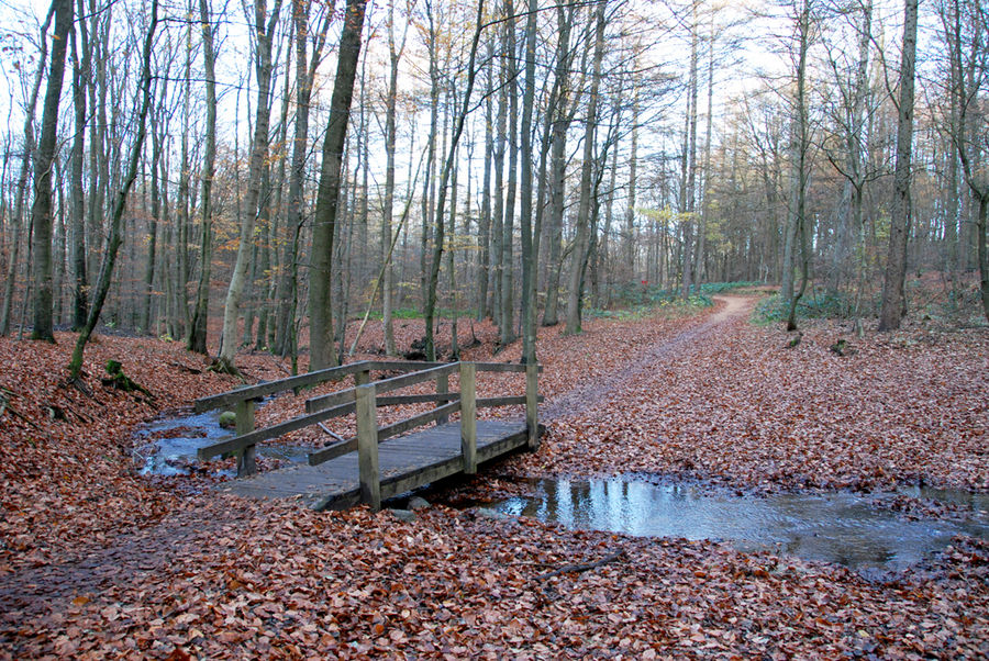 Die einsame Brücke