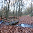 Die einsame Brücke