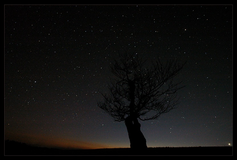 Die Einsame Buche Und Der Blick In Den Sternenhimmel Photo Image Landschaft Naturlandschaft Bei Nacht Natur Images At Photo Community