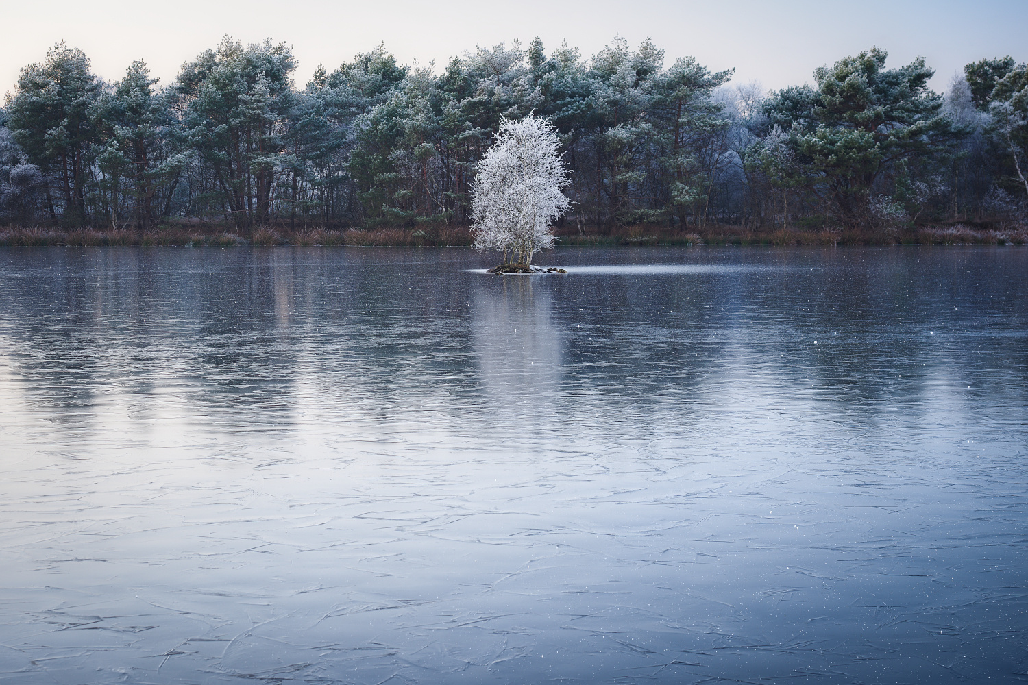 [ Die einsame Insel ]