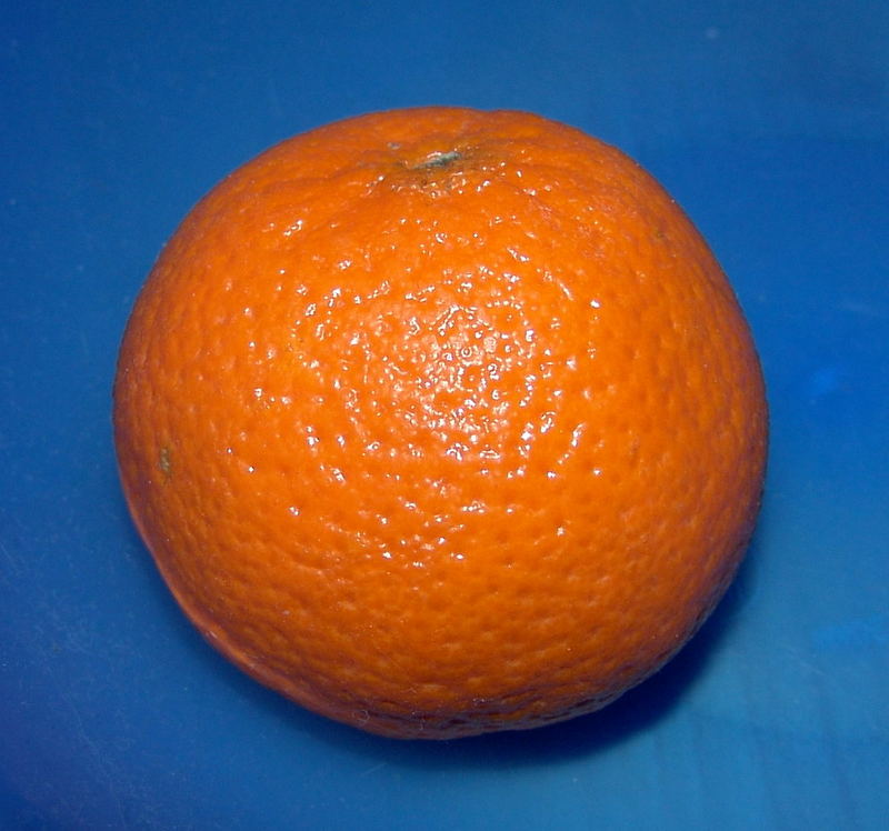 Die einsame Mandarine...