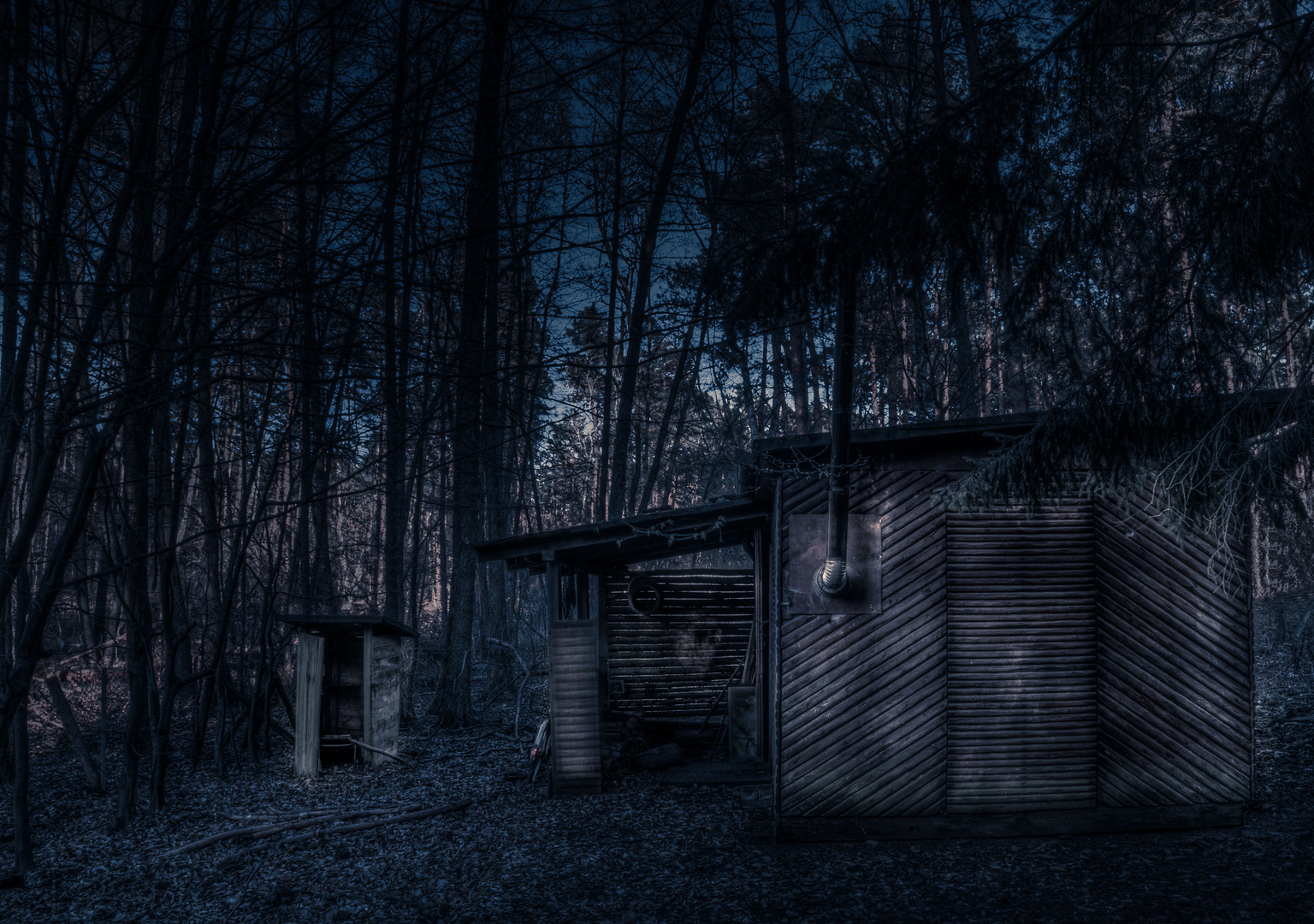 Die einsame, verlassene Hütte im Wald