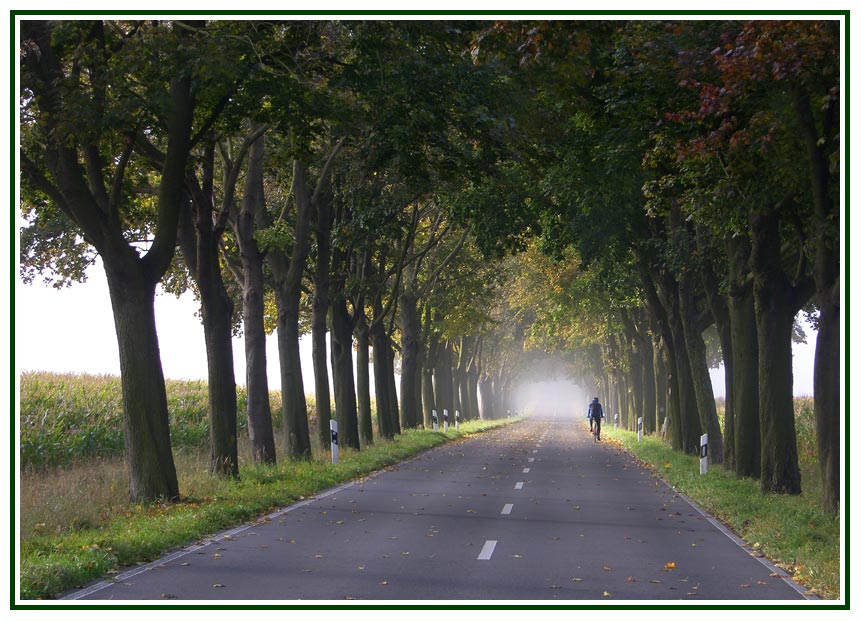 Die Einsamkeit des Radfahrers zur Nebelzeit