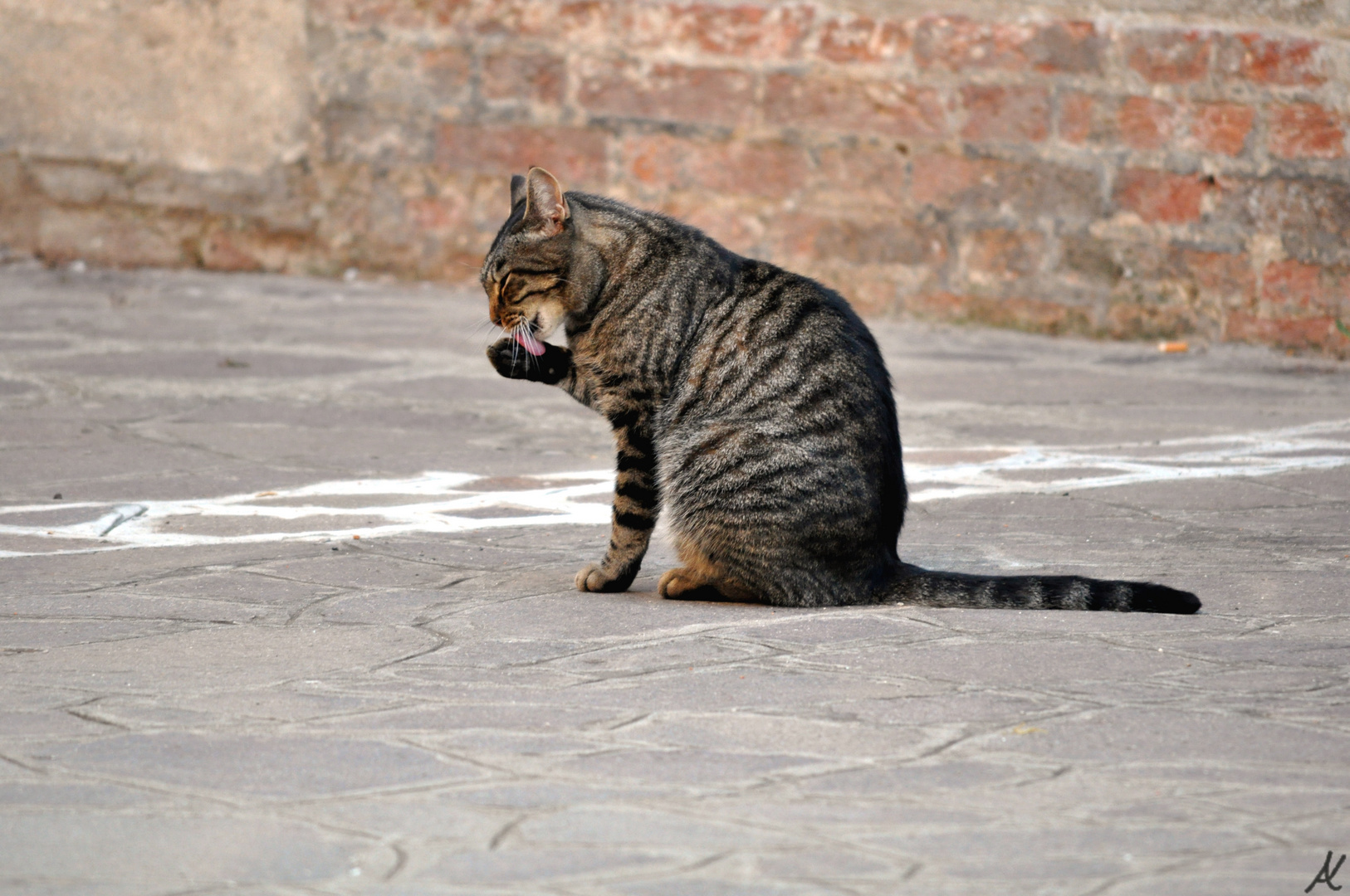 die einzig Mutige (Venedig)