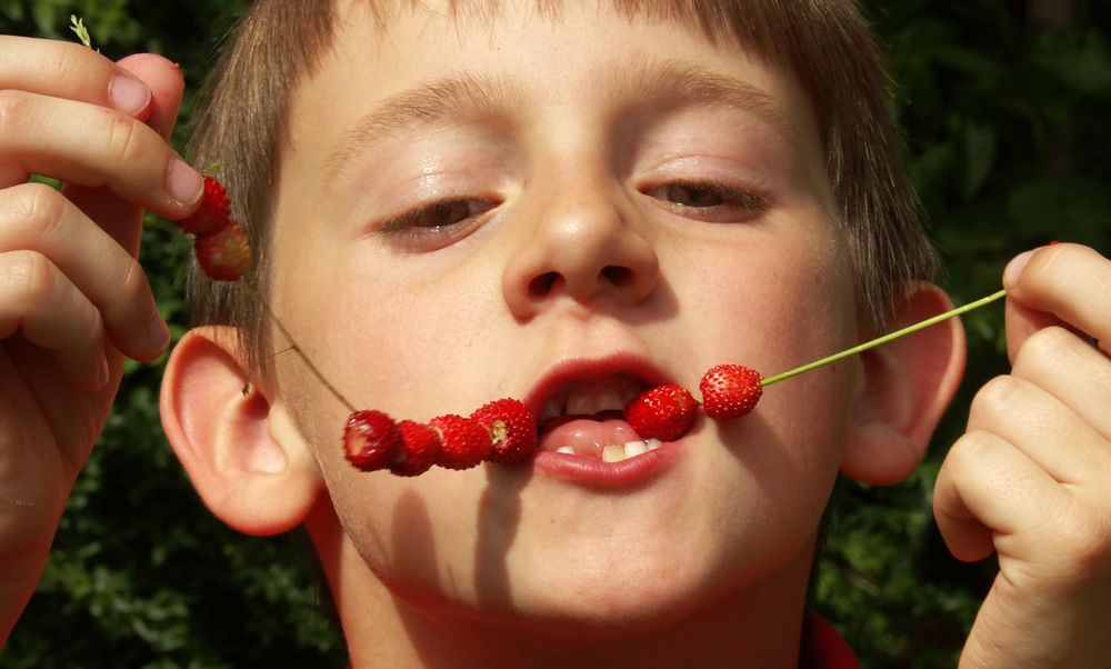 Die einzig wahre Art Walderdbeeren zu essen...