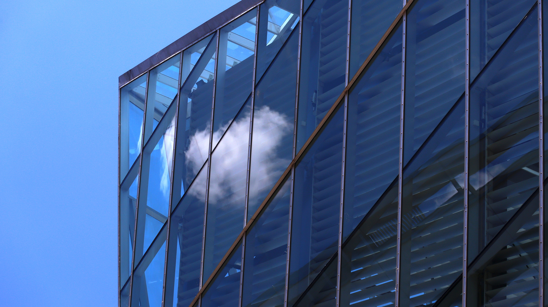 - die einzige Wolke eingefangen -