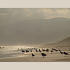 die einzigen Touristen am Strand