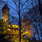 "Die Einzigste" Burg in Hamburg