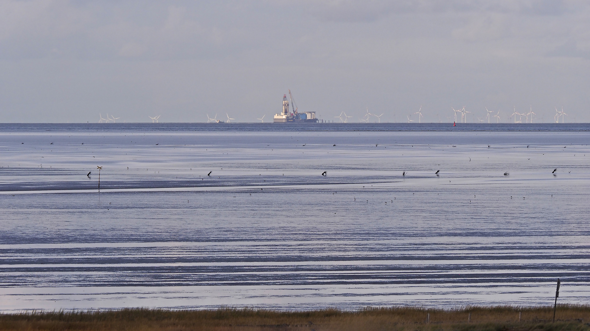 Die einzigste deutsche offshore Ölbohrplattform "Mittelplate" in der Nordsee ...