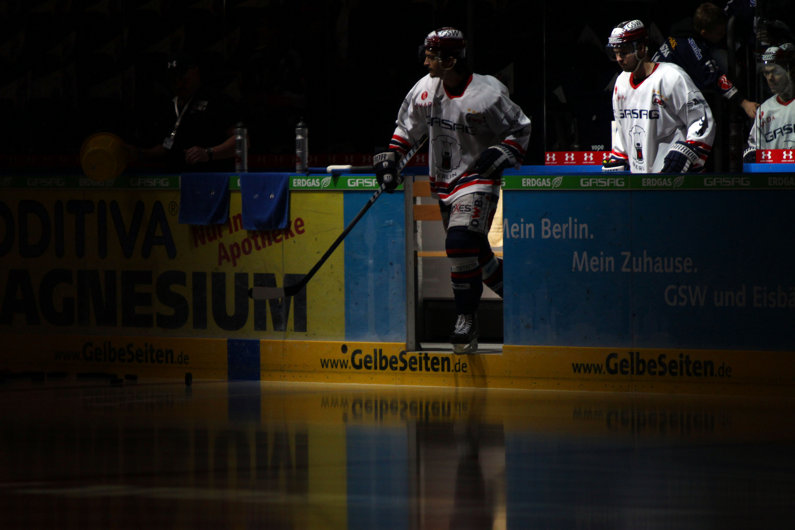 Die Eisbären kommen