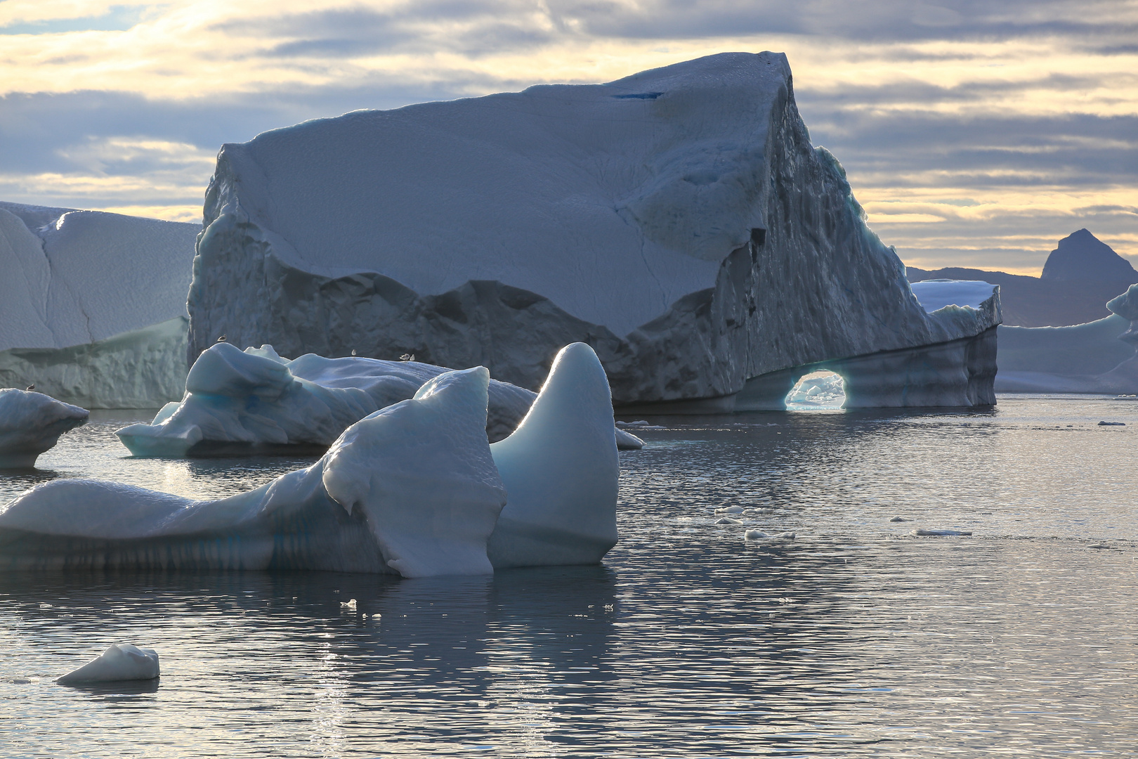 Die Eisberge im Hafen