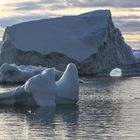 Die Eisberge im Hafen