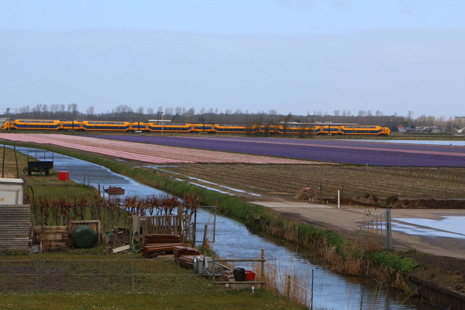 Die Eisenbahn an den Blumen