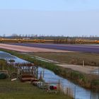 Die Eisenbahn an den Blumen