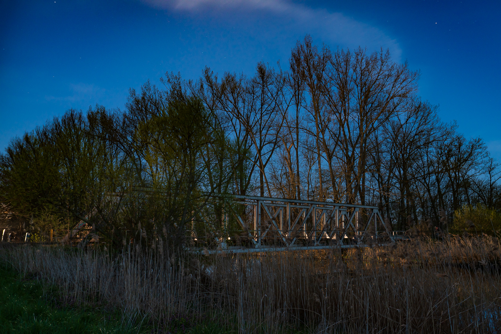 Die Eisenbahnbrücke  (3)