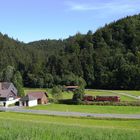 Die Eisenbahnfreunde "Rodachtalbahn"