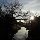 Die Eiserne Brücke im Gegenlicht